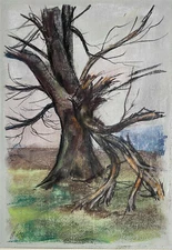 Franz Ehmke *1928 -2018 Berlin Dead Tree Broken Branch Pastel Signed