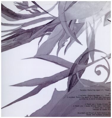 LAWS / APANI B-FLY EMCEE NUJABES プロデュース！ Apani B-Fly Emcee – Laws – Vinyl (12