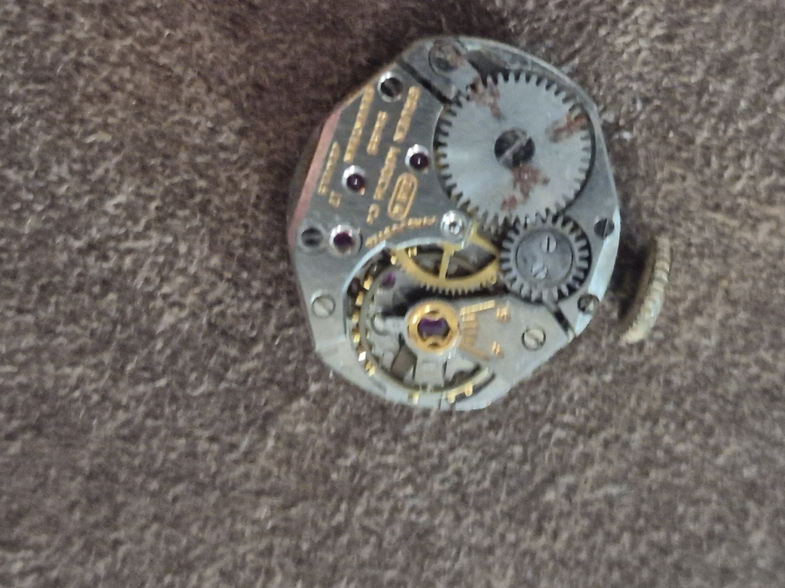 Picture 6 of 6