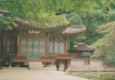 South Korea Buyong-jeong Pavilion Continental Postcard (9503)
