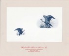 Forerunner Souvenir Card, F-1990A, MSNA 1990, Two eagle vignettes in blue 1000 — photo 1