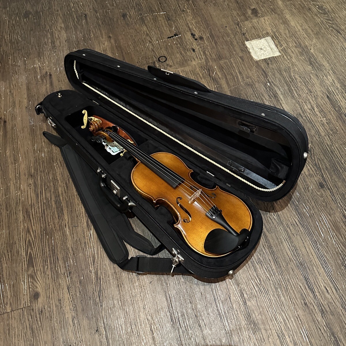 Roderich Paesold Pa802J 4/4 Violin Made In Germany -E767 | eBay Roderich Paesold Pa802J 4/4 Violin Made In Germany -E767 | eBay
