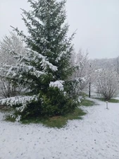 Picture Image Photo Wallpaper Background Beautiful Art Digital # 383