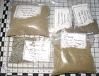 Silurian Gotland microfossil matrix sample JOB LOT 200g abundant fossils