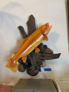 19” Palomino Golden Trout Taxidermy Mount With Faux Driftwood & Rock Background