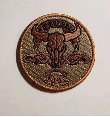 SEAL Team 7, 3 Troop, Echo & Foxtrot Platoons, Old  Emblem NSW