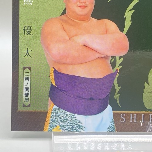 BBM Sumo Wrestling Card Yuta Shirokuma Bear 2024 Japan Japanese Rare F/S - Picture 5 of 12
