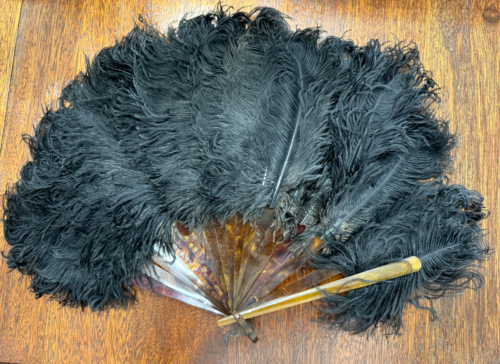 ANTIQUE VINTAGE BLACK OSTRICH FEATHER FOLDING LADIES FAN TORTOISE CELLULOID BASE
