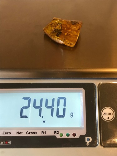 Baltic Amber Piece Stone Fossil Insect Inclusion Natural Nugget 24g 18547 - Picture 21 of 21