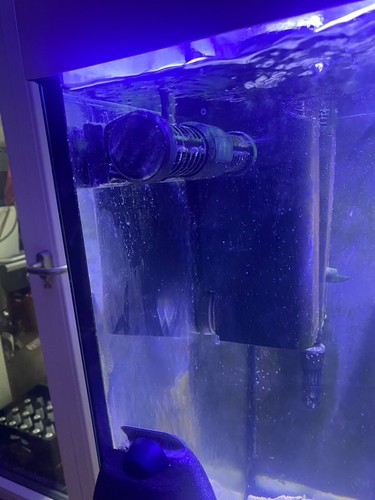 meerwasser aquarium komplett gebraucht - Bild 3 von 6