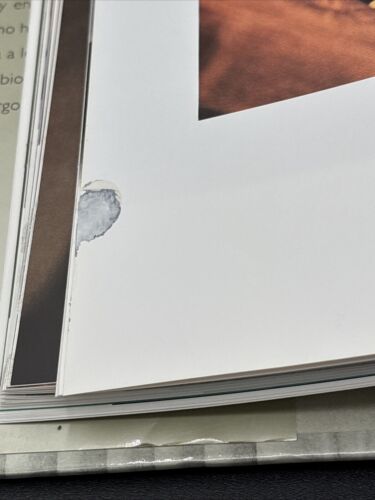 Apolo Erotica Art Michelle Olley 2001 Gay Interest Book - Picture 8 of 8