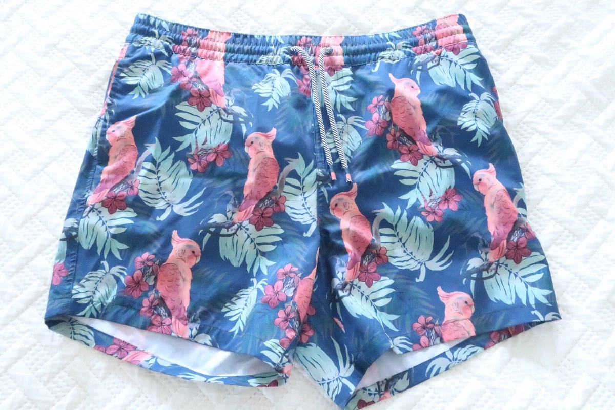 ralph lauren speedo