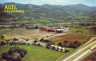 AERIAL OF ASTI AND ITS VINEYARDS IN THE WINE COUNTRY OF THE REDWOOD HIGHWAY, CAL