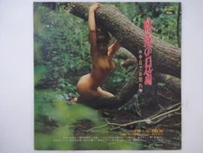 Takeo Yamashita Enchanted ~ Toshiba TP-7448 Japan redwax,promo,cheese cake  LP