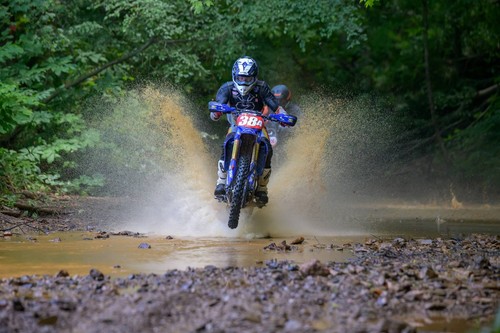 Rodamientos de bolas Prox 23.NJ206 KTM 125 XC-W 2019 - Imagen 5 de 9