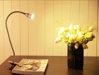 Bild 3 von 12