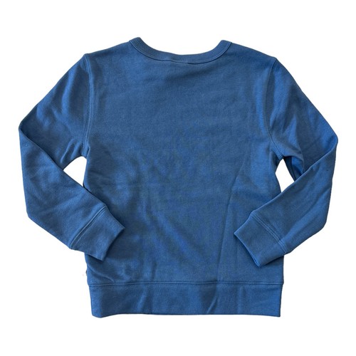 Gap Sweatshirt Boy's Blue/ Green Terry Lined Graphic Print Crewneck Pullover - Picture 5 of 6