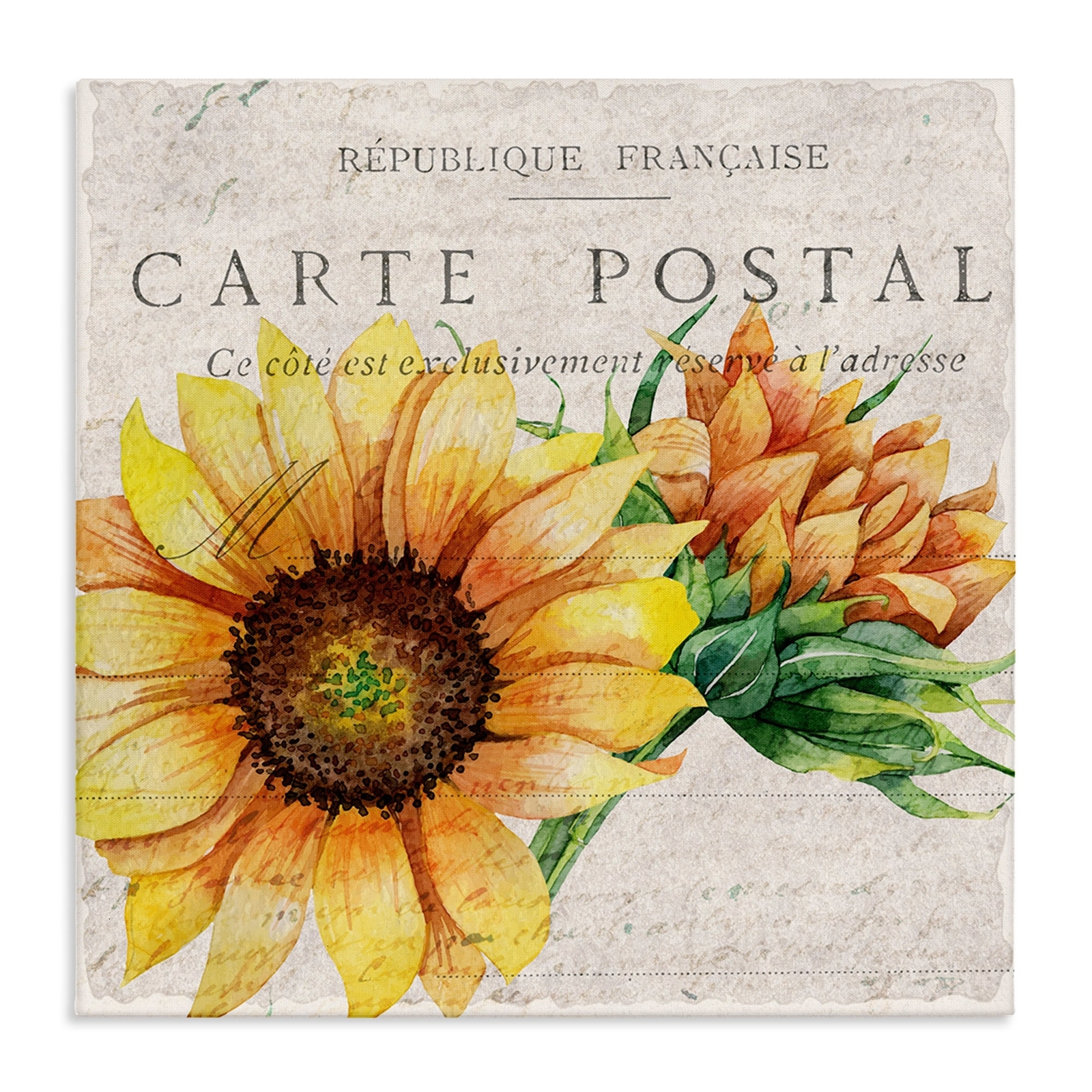 Stupell Vintage French Sunflower Postcard Floral