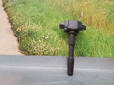 224332428R 4115274 zündspule DACIA SANDERO STEPWAY 2012