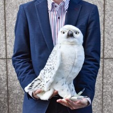 Hansa Falcon Snow 35 Realistic Big Size Plush Toy Doll BH4708 13.7in White Japan