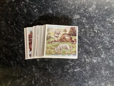 Granose Foods Ltd  Silver Mane The Timber Wolf Cards-CHOOSE THE ONES YOU WANT.