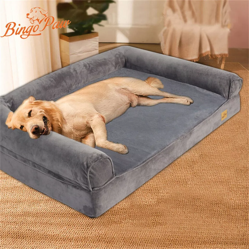 Orthopedic dog beds large top
