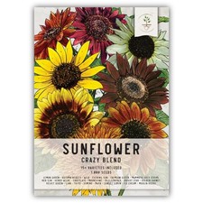 Crazy Mixed Sunflower Seeds For Planting Helianthus annuus 15 Varieties