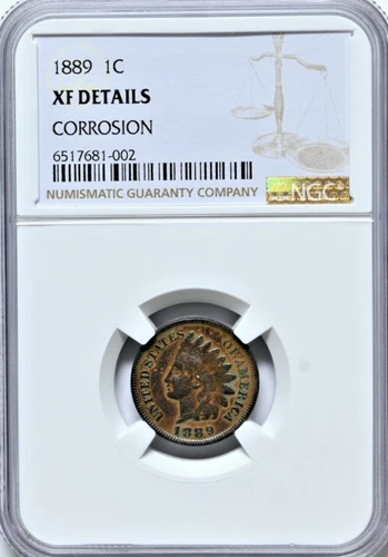 1889 INDIAN HEAD Cent Coin NGC XF Details Corrosion Graded Attractive Coin 2172