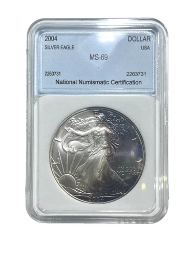 2004 American Silver Eagle .999 1oz Fine Silver Beautiful Toning!