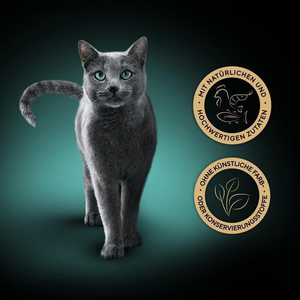 SHEBA Filets - Feinstes Katzennassfutter (16 x 60g) Schalen mit Huhn - Nassfut - Bild 2 von 4