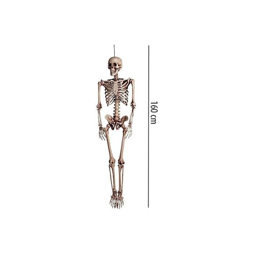 Scheletro in Plastica Decorazione Halloween Altezza 160 cm Ciao - Picture 2 of 5