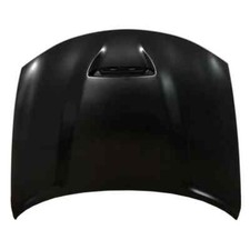 Fit 2015 2016 2017-2023 Dodge Charger Hood Panel Replace Standard Line Ch1230336