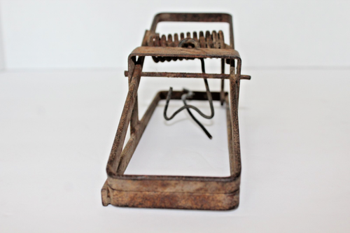 Early 1900s Steel 8" Long Working Rat/Small Rodent Spring Trap Fully Functional - Picture 6 of 15