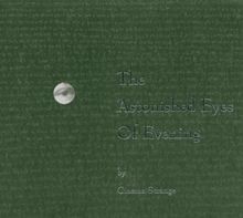 The Astonished Eyes of Evening von Cinema Strange | CD | Zustand gut