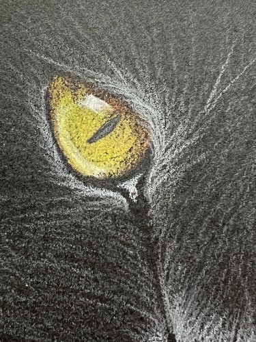 ACEO Original “Black Cat & Poppy Flowers 2” Artist Cyra Cancel 2007 - Picture 3 of 4