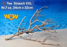🪴 XXL Tee Strauch Aquarium Wurzel  1A Qualität 💯 Talawa Wurzel 