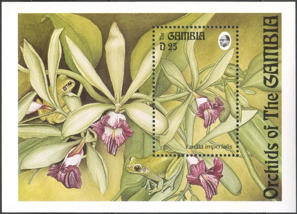 Gambia 1994 MNH** Orchids*Flowers*Plants*Vanilla imperialis*Nature*Flora MS - Photo 1/1