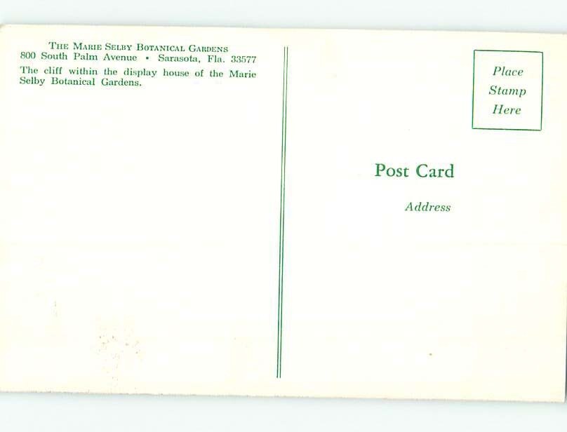 Pre1980 BOTANICAL SCENE Sarasota Florida FL make an offer HJ6863 eBay