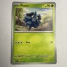 Pokemon TCG Pineco 002/162 2024 Temporal Forces  Common Card - NM