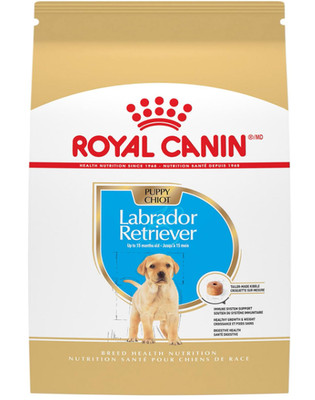 Tailored Nutrition for Labrador Retriever Puppies
