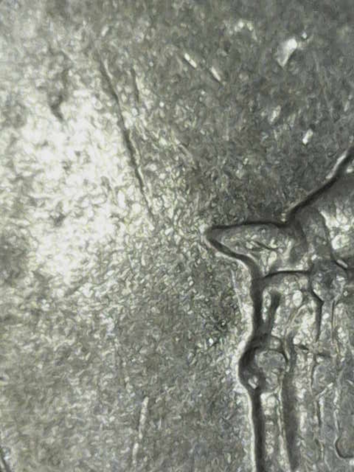 Picture 13 of 24