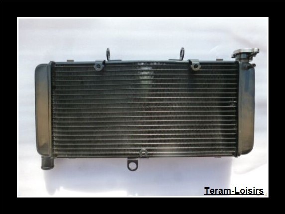 Radiateur pour Honda CBR 900 RR 893 de 1992 à 1995 en aluminium neuf