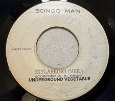 Vinyl Records Horace Andy 7
