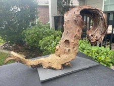 MOUNTED MOPANI WOOD AQUARIUMS FISH RIPTILES DECORATION PET SUPPLIES ART GARDEN