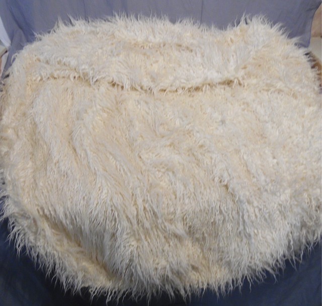 Pottery Barn Pb Teen Ivory Furlicious Large Beanbag Slipcover 41