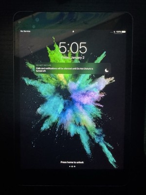 Apple iPad Mini 2, 32 GB
