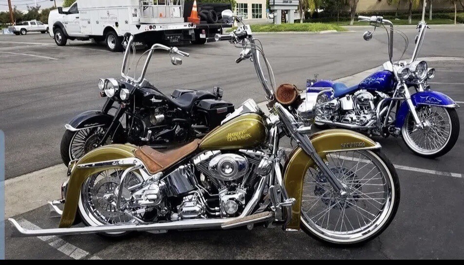 Harley Davidson Cholo Vicla 23