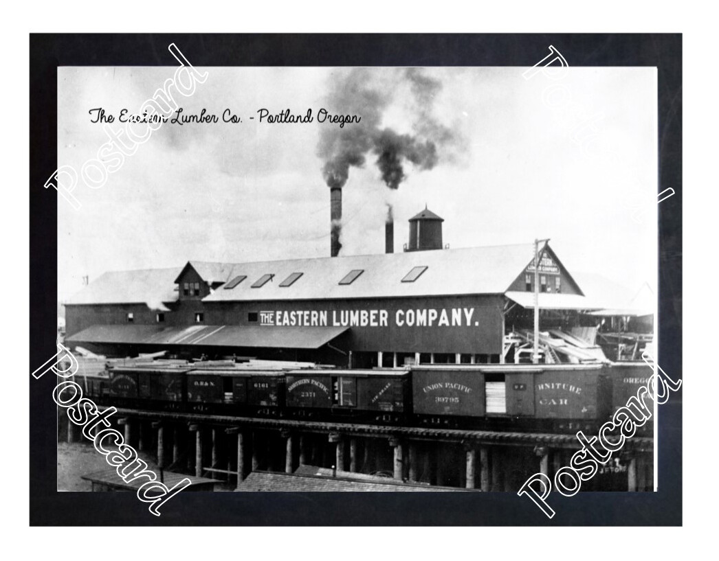 Historic The Eastern Lumber Co. Portland Oregon Logging Postcard eBay