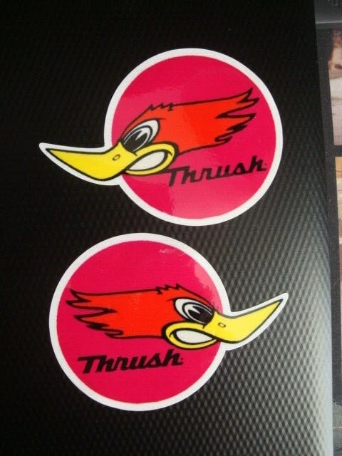 Thrush mufflers deals