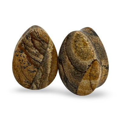 Pair of Picture Jasper Stone Teardrop Plugs set ear gauges PICK SIZE